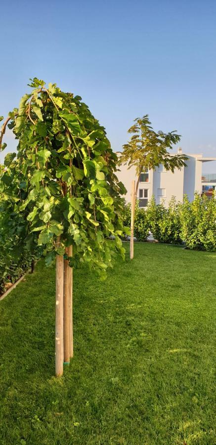Sea View Apartments Žaborić Exterior foto